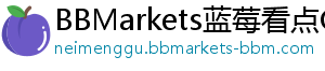 BBMarkets蓝莓看点GO